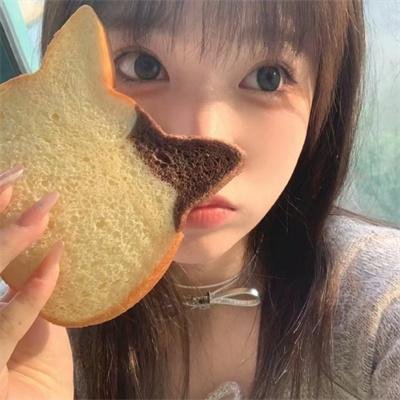 龙虎双侠